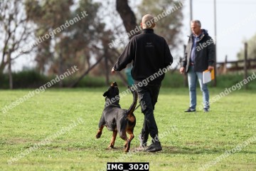 IMG_3020.jpg