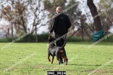IMG_3024.jpg