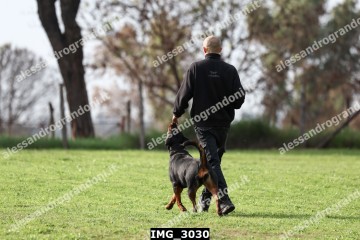 IMG_3030.jpg