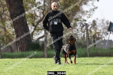 IMG_3040.jpg