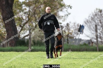 IMG_3050.jpg