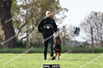 IMG_3057.jpg