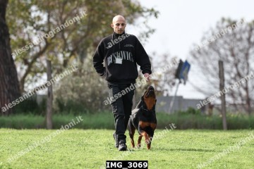 IMG_3069.jpg