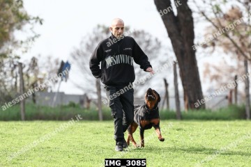 IMG_3085.jpg
