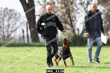IMG_3126.jpg