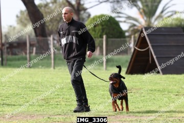 IMG_3306.jpg