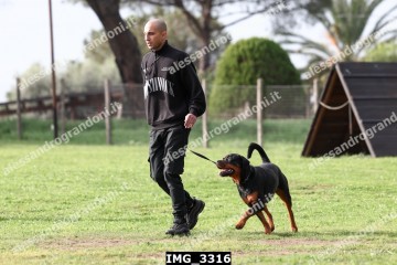IMG_3316.jpg