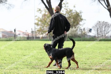 IMG_3384.jpg