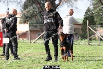 IMG_3464.jpg