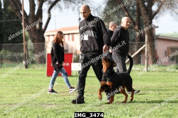 IMG_3474.jpg
