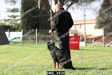 IMG_3525.jpg