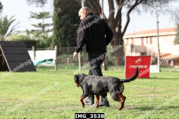 IMG_3538.jpg