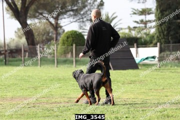 IMG_3545.jpg