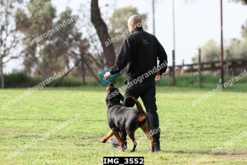 IMG_3552.jpg