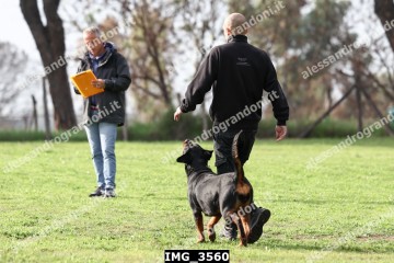 IMG_3560.jpg