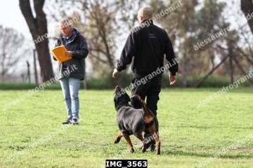 IMG_3563.jpg