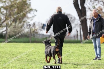 IMG_3579.jpg