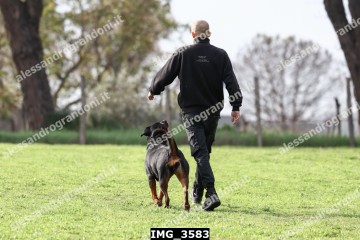 IMG_3583.jpg