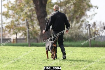 IMG_3594.jpg
