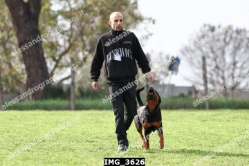 IMG_3626.jpg
