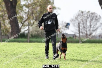 IMG_3635.jpg