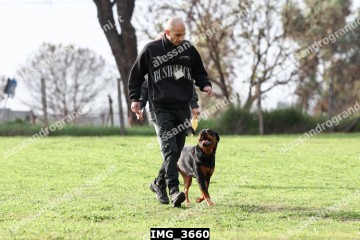 IMG_3660.jpg