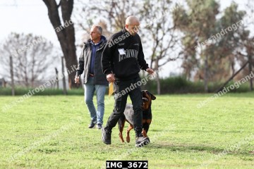 IMG_3672.jpg
