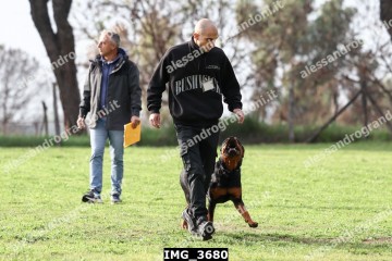 IMG_3680.jpg