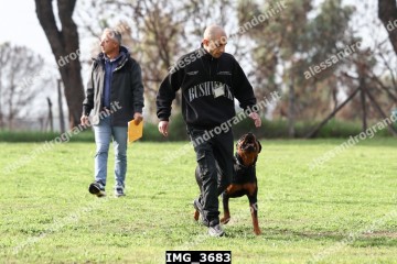 IMG_3683.jpg