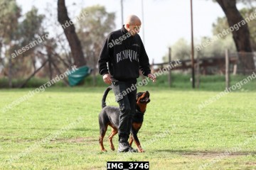 IMG_3746.jpg