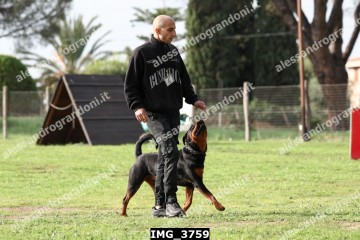 IMG_3759.jpg