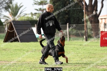 IMG_3765.jpg