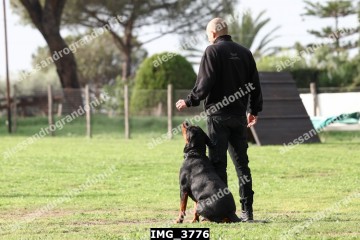 IMG_3776.jpg