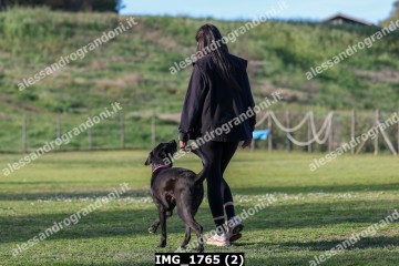 IMG_1765 (2).jpg