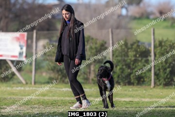 IMG_1803 (2).jpg