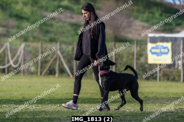 IMG_1813 (2).jpg
