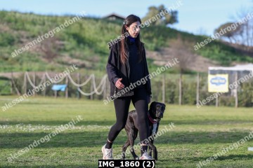 IMG_1860 (2).jpg