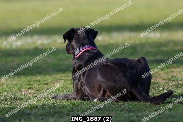 IMG_1887 (2).jpg