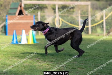 IMG_2026 (2).jpg