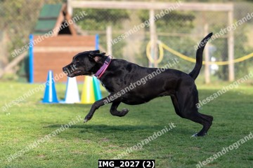 IMG_2027 (2).jpg