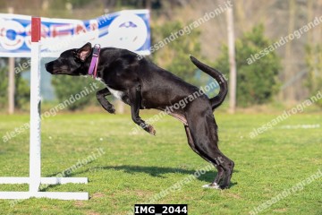 IMG_2044.jpg