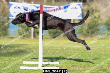 IMG_2047 (2).jpg