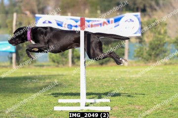 IMG_2049 (2).jpg