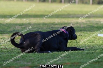 IMG_2072 (2).jpg