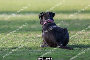 IMG_2083.jpg