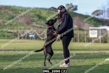 IMG_2090 (2).jpg