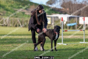 IMG_2104 (2).jpg