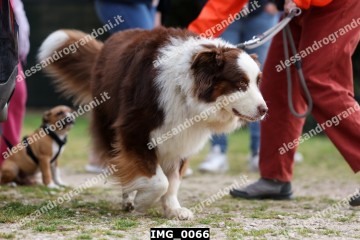IMG_0066.jpg