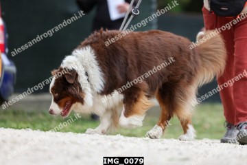 IMG_0079.jpg