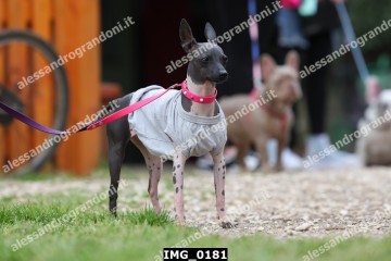 IMG_0181.jpg